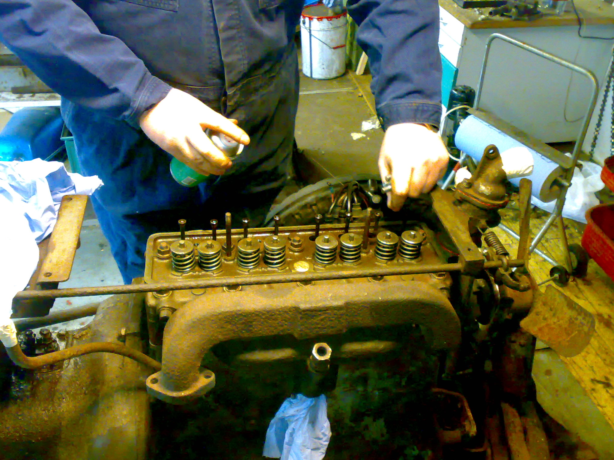 Ferguson traktor billede 1